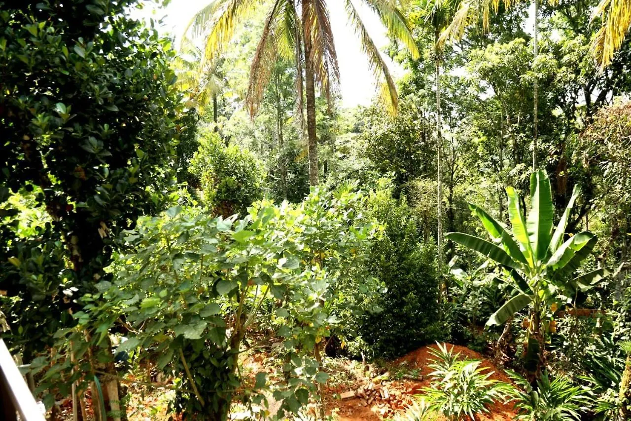 Loveshore Homestay Munnar Anachal 0*,  Indien